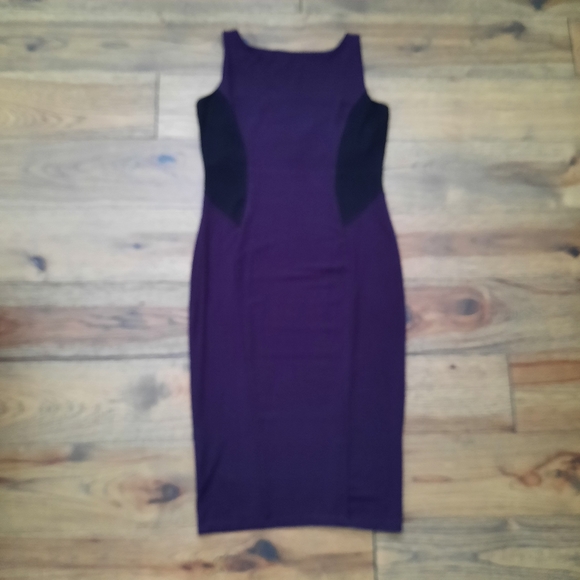 Miik Sleeveless Fitted Dress - Picture 12 of 16